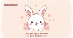 bunny captions