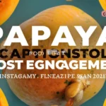 Papaya Captions