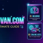Blingvan Com