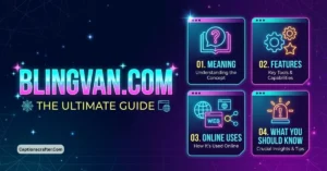 Blingvan Com